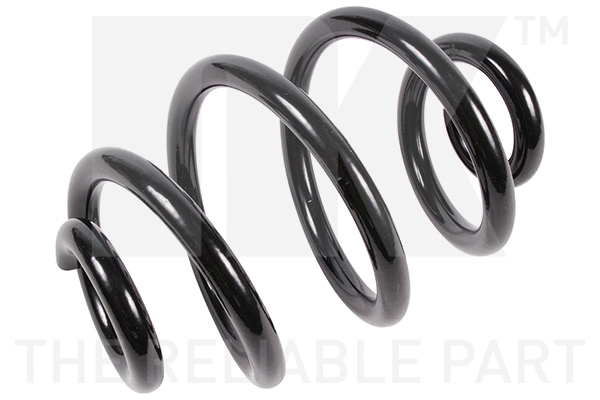 Suspension Spring (541555)
