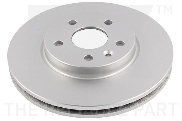Brake Disc (313683)