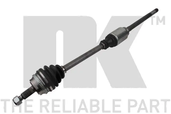 Drive Shaft (503651)