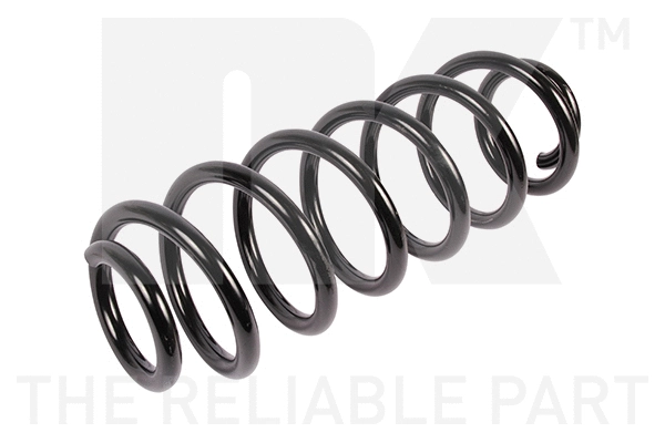 Suspension Spring (541937)