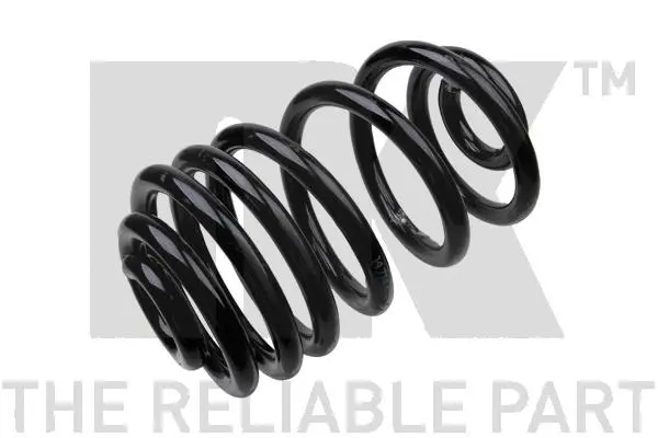Suspension Spring (543918)