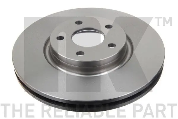 Brake Disc (202581)