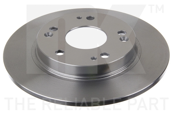 Brake Disc (202655)