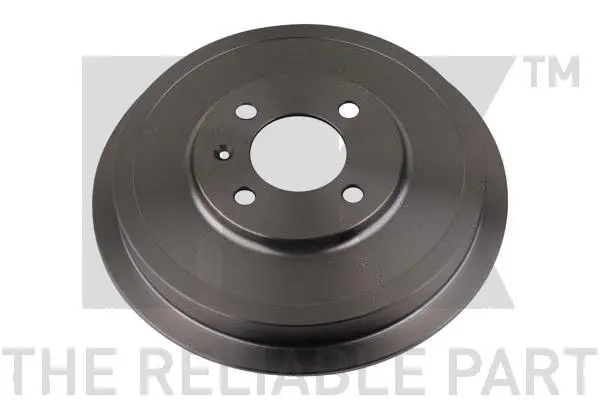 Brake Drum (254729)