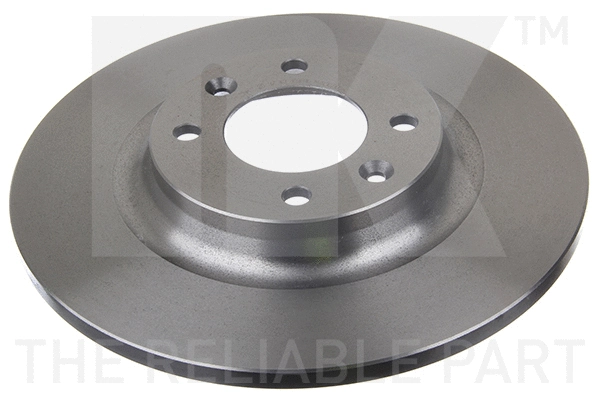 Brake Disc (203743)