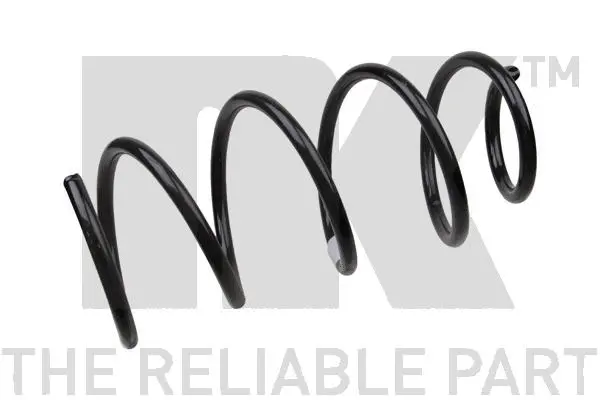 Suspension Spring (531555)