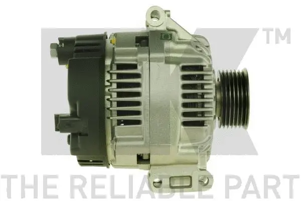 Alternator (4880220)