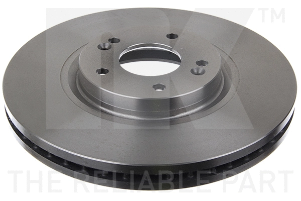 Brake Disc (203440)
