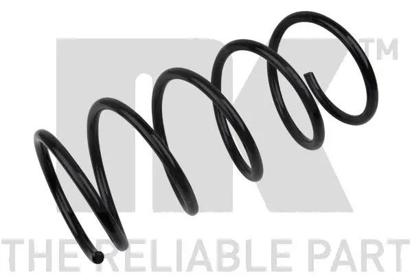 Suspension Spring (533021)