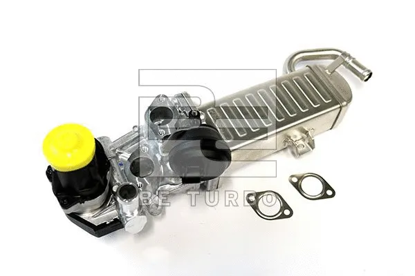 EGR Module (304000)