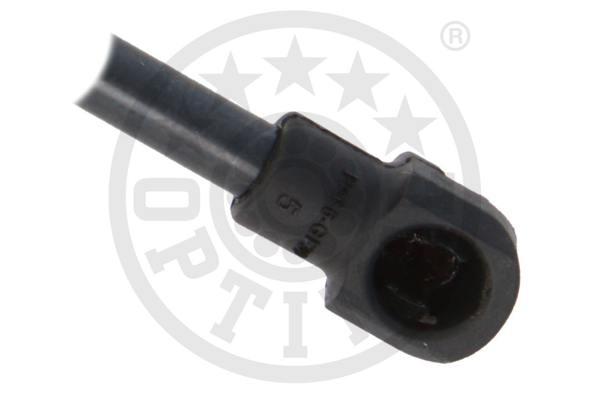 Gas Spring, boot/cargo area