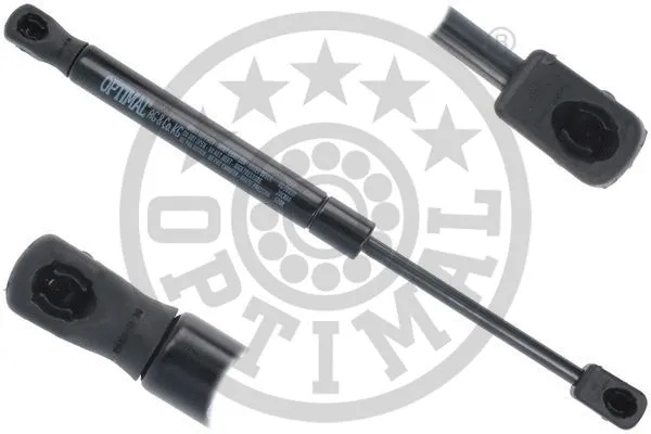 Gas Spring, boot/cargo area (AG-50280)