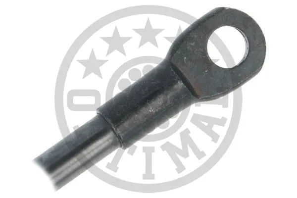 Gas Spring, boot/cargo area