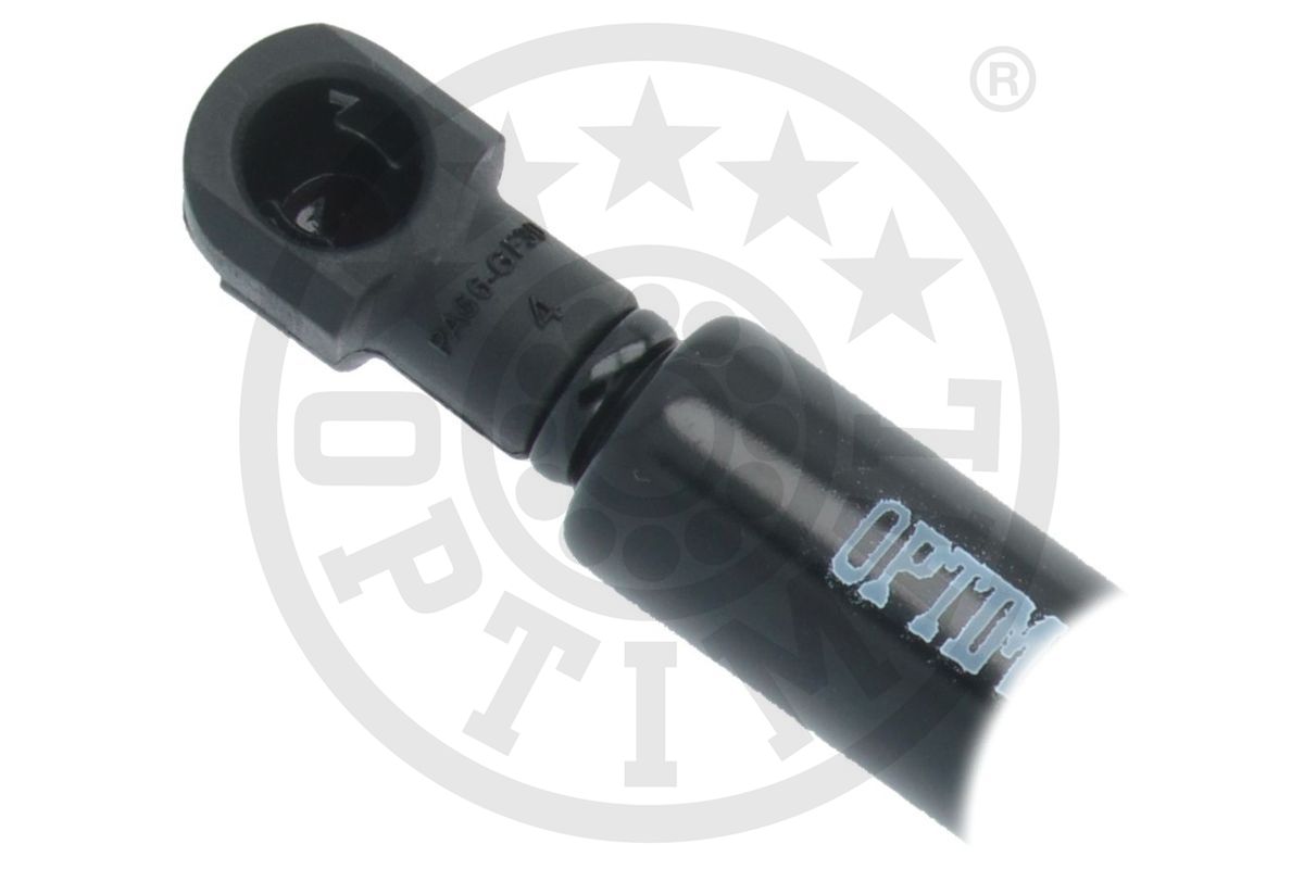 Gas Spring, boot/cargo area