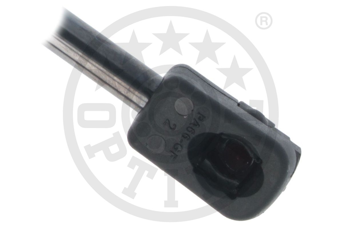Gas Spring, boot/cargo area
