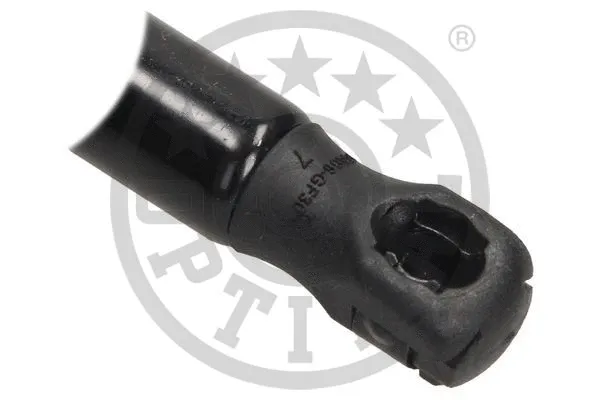 Gas Spring, boot/cargo area