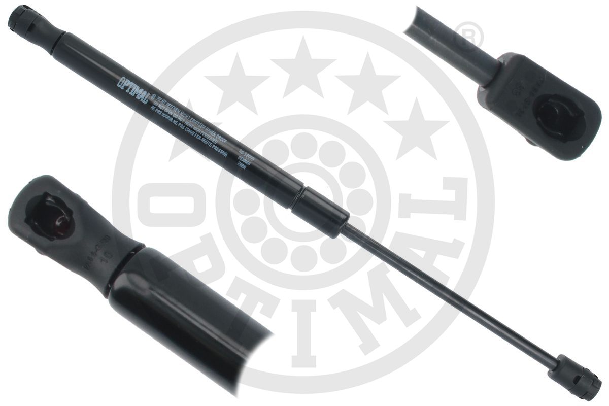 Gas Spring, boot/cargo area (AG-52009)