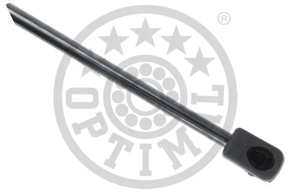 Gas Spring, boot/cargo area