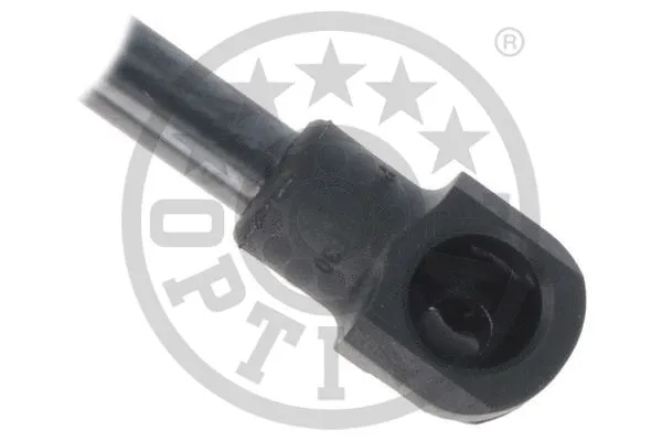 Gas Spring, bonnet