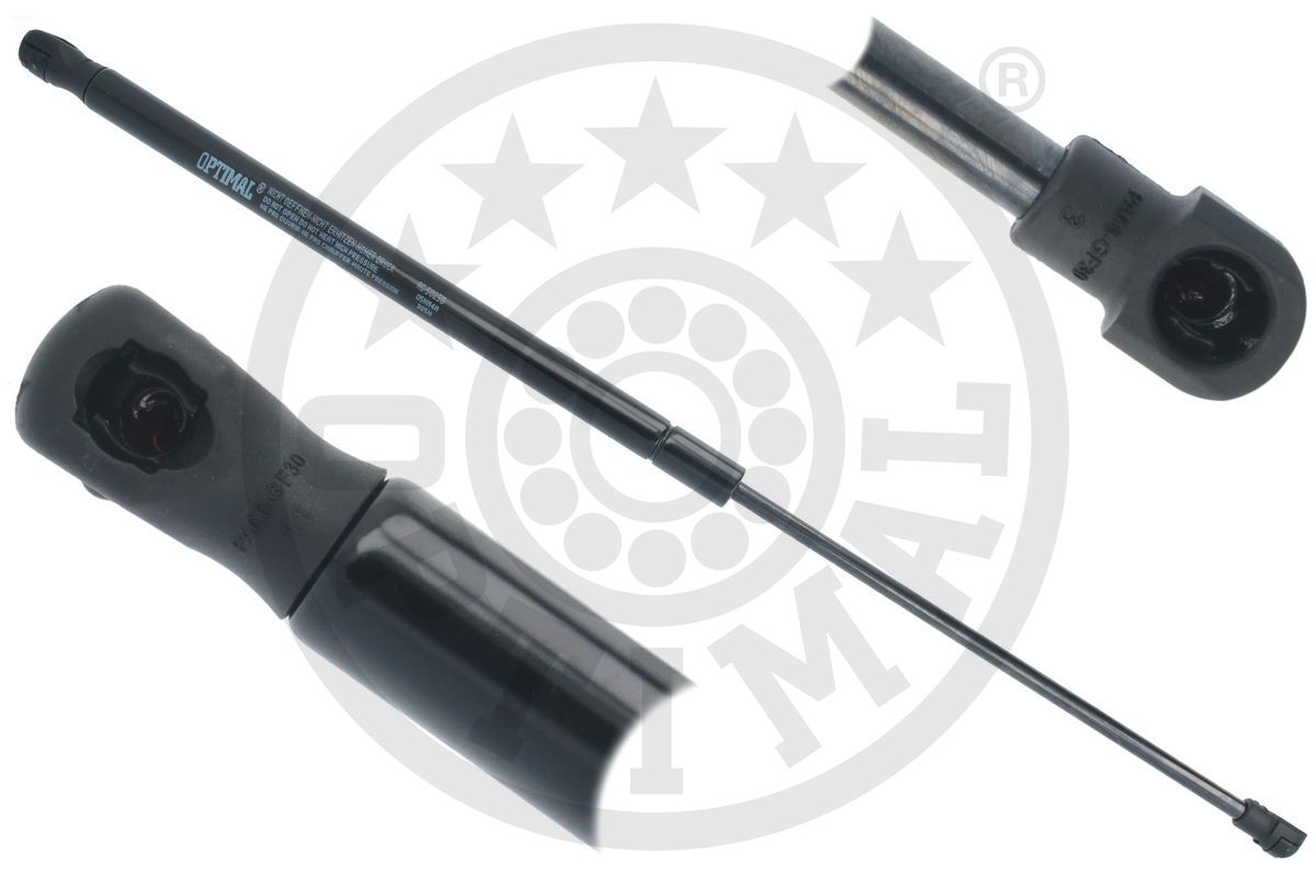 Gas Spring, boot/cargo area (AG-50250)