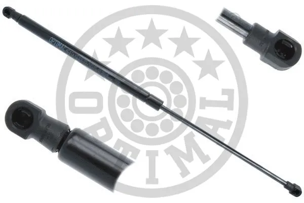 Gas Spring, boot/cargo area (AG-50039)