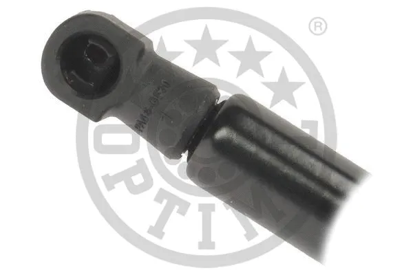Gas Spring, boot/cargo area