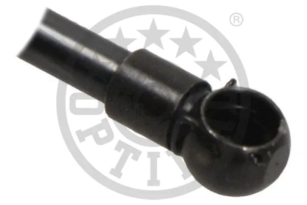 Gas Spring, boot/cargo area