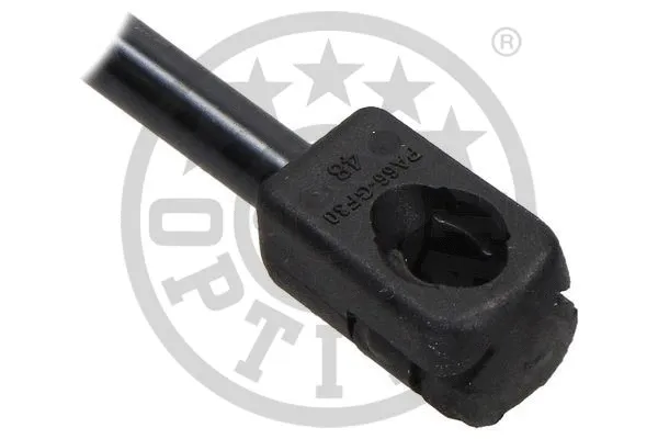 Gas Spring, boot/cargo area