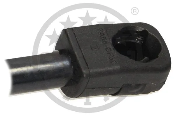 Gas Spring, boot/cargo area