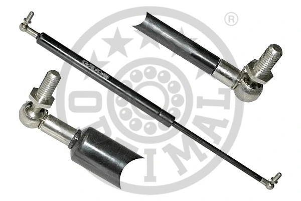 Gas Spring, boot/cargo area (AG-17480)
