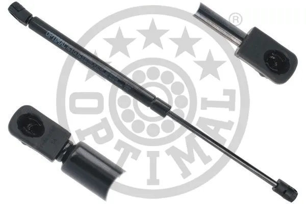 Gas Spring, boot/cargo area (AG-51719)