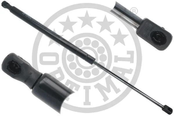 Gas Spring, boot/cargo area (AG-51634)