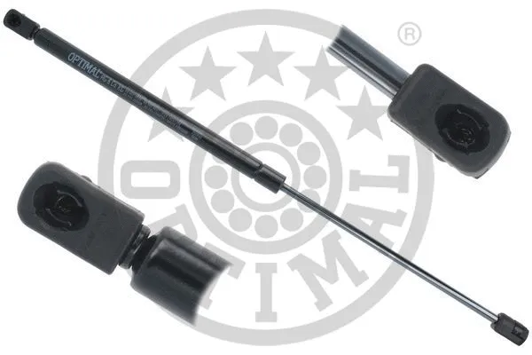 Gas Spring, boot/cargo area (AG-51291)