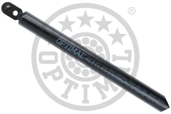 Gas Spring, boot/cargo area