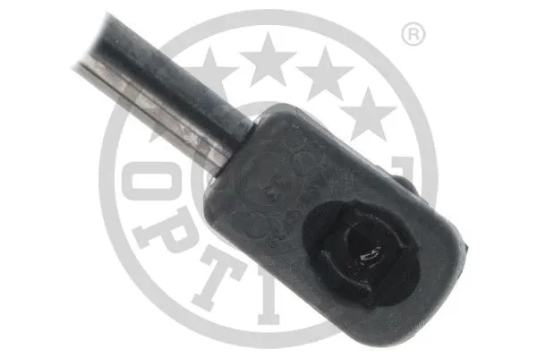 Gas Spring, boot/cargo area