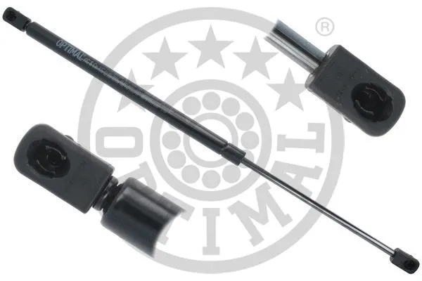 Gas Spring, boot/cargo area (AG-51848)