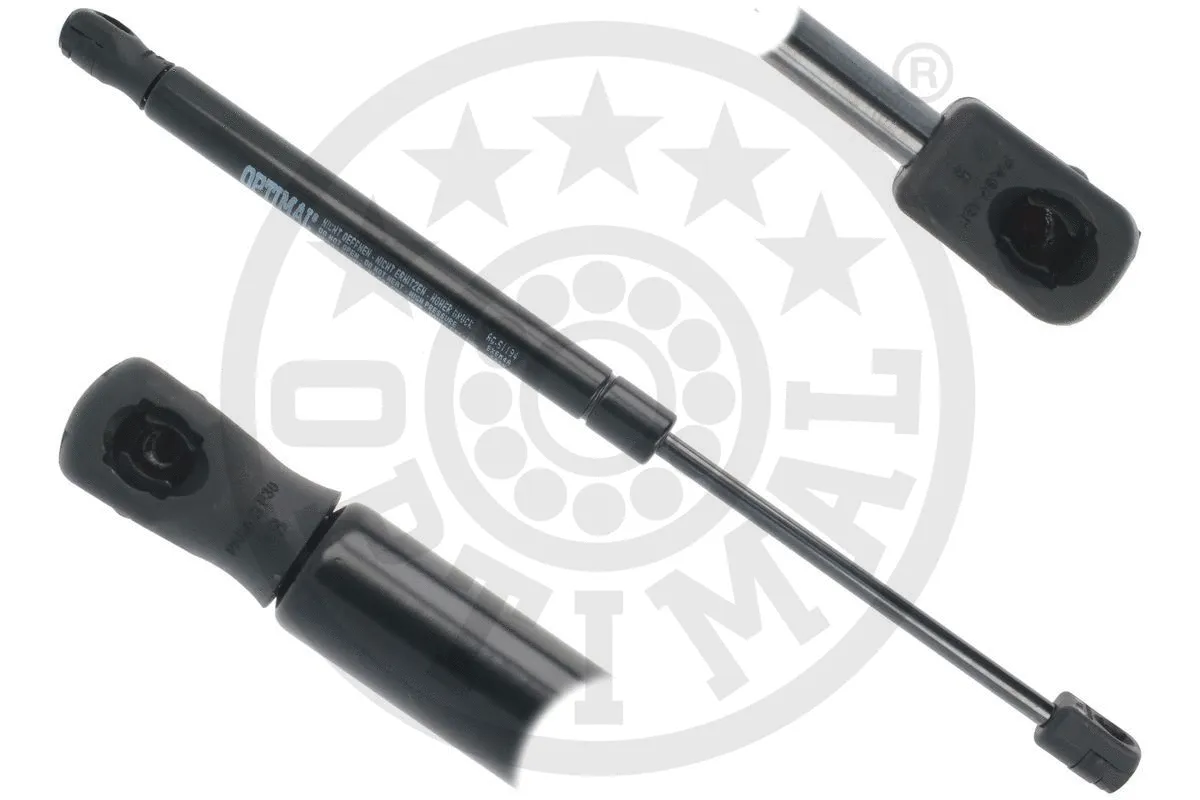 Gas Spring, boot/cargo area (AG-51194)