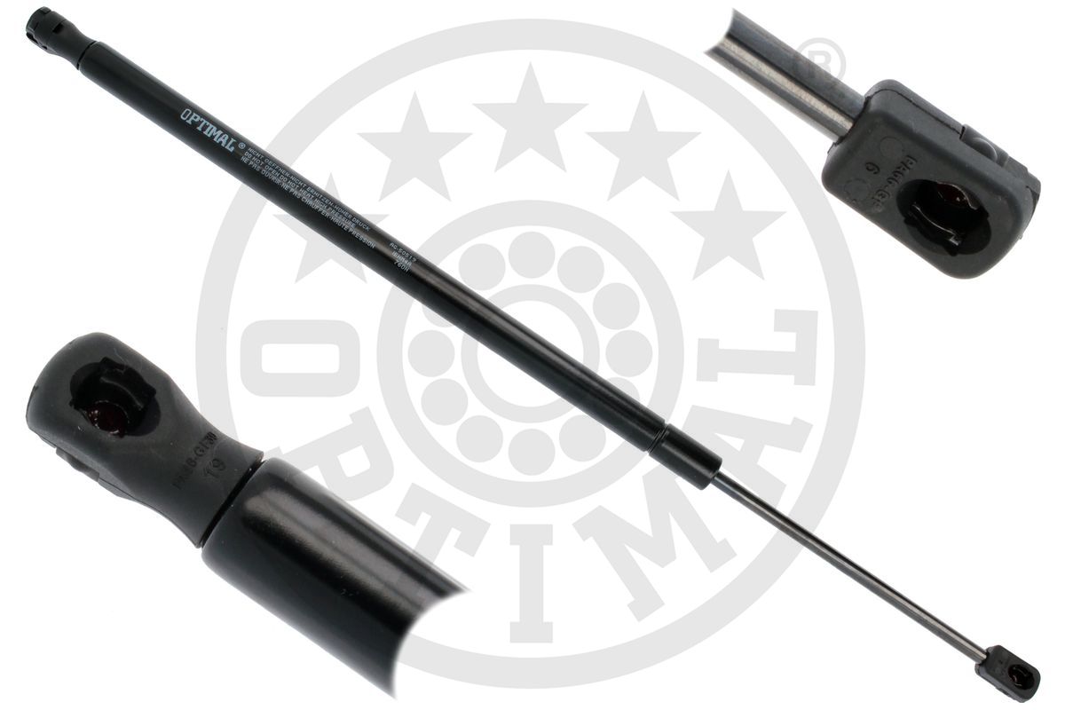 Gas Spring, boot/cargo area (AG-50519)