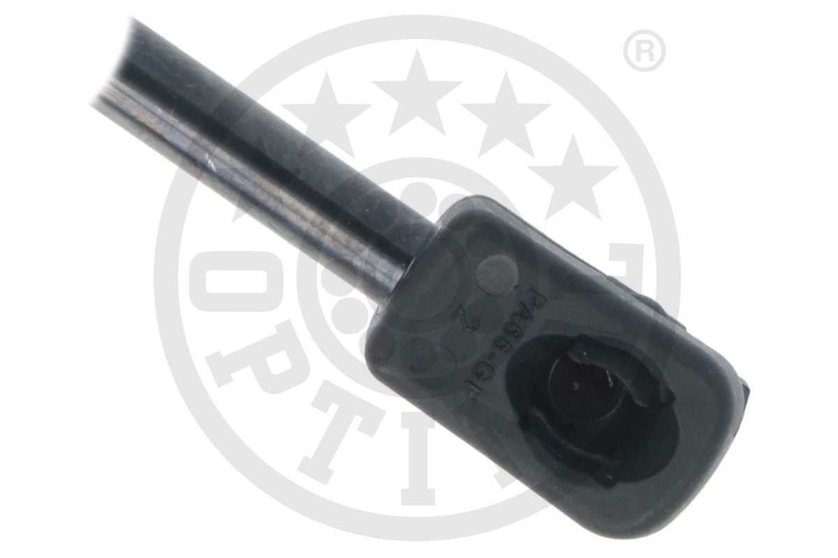 Gas Spring, boot/cargo area