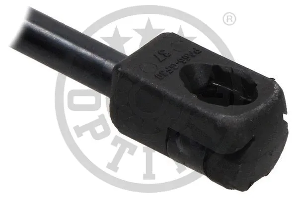 Gas Spring, boot/cargo area