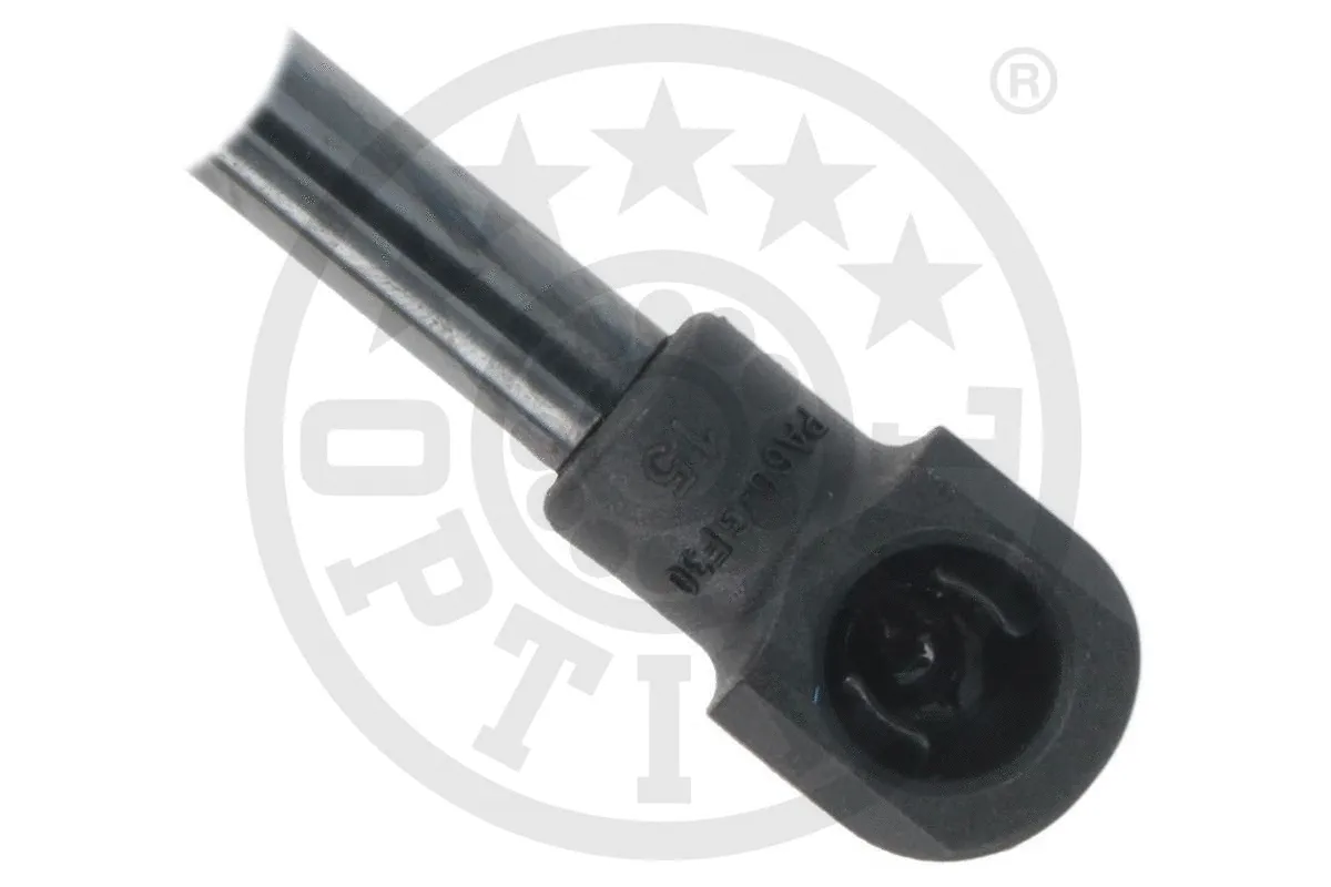 Gas Spring, boot/cargo area