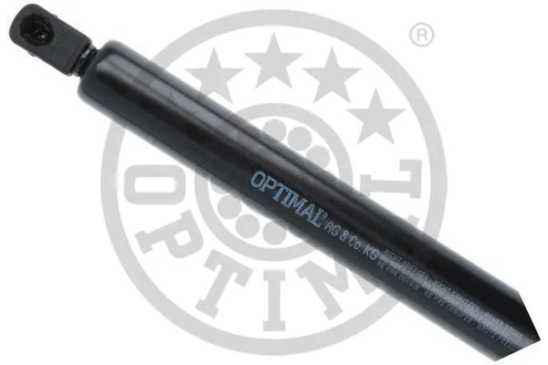 Gas Spring, boot/cargo area