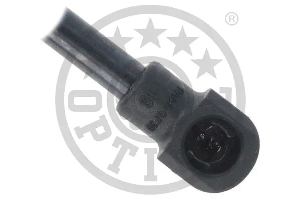 Gas Spring, boot/cargo area