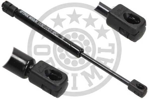 Gas Spring, boot/cargo area (AG-40096)