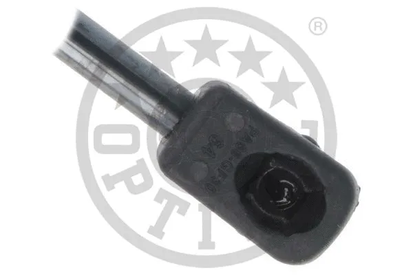 Gas Spring, boot/cargo area