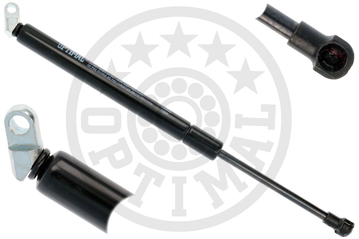 Gas Spring, boot/cargo area (AG-51831)