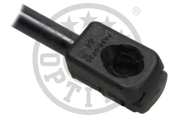 Gas Spring, boot/cargo area