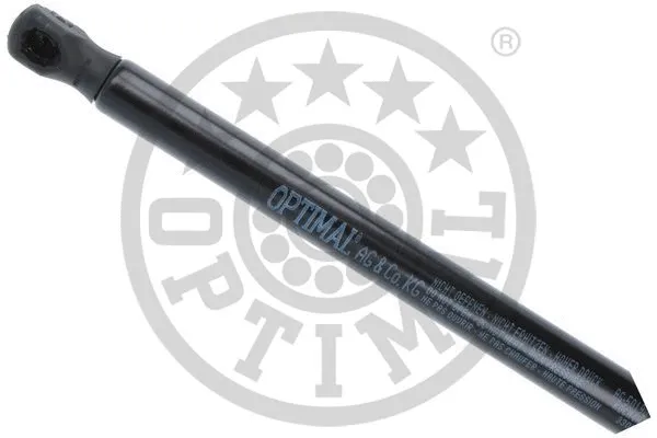 Gas Spring, boot/cargo area