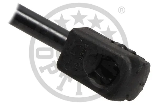 Gas Spring, boot/cargo area