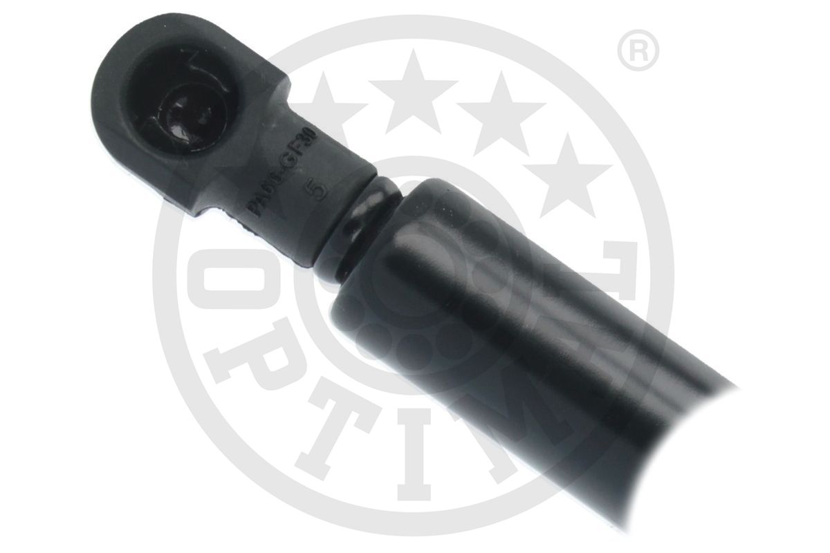 Gas Spring, boot/cargo area